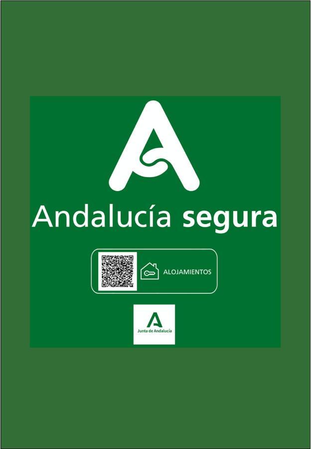 Holidays2Malaga Apto Pozos Dulces Acogedor & Balcon & Tranquilo En Centro De מאלגה מראה חיצוני תמונה